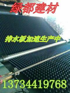 海南綠都建材排水板廠家直銷 規(guī)格齊全，高清圖片展示